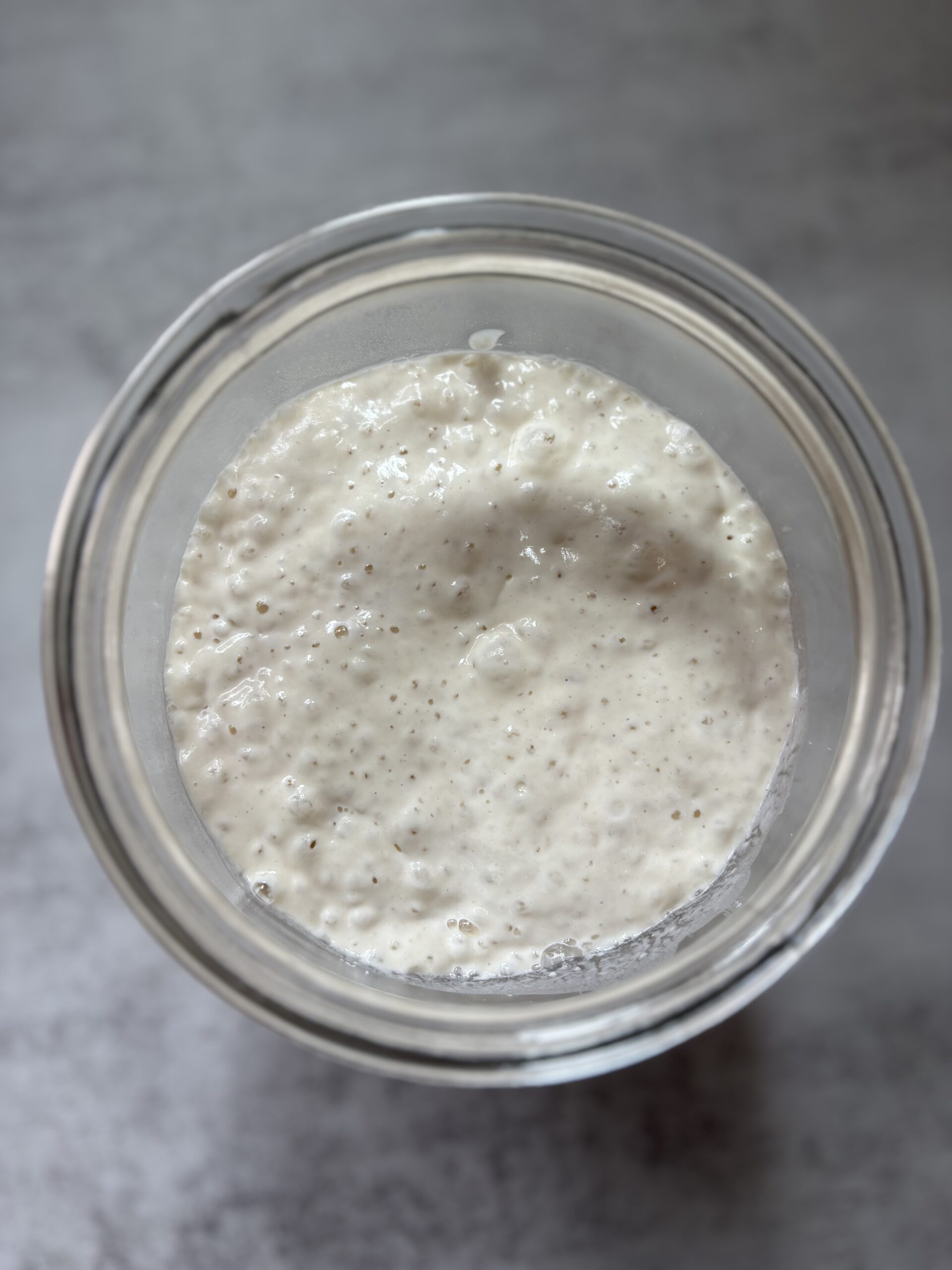 Sourdough Basics: Tools to Get Started