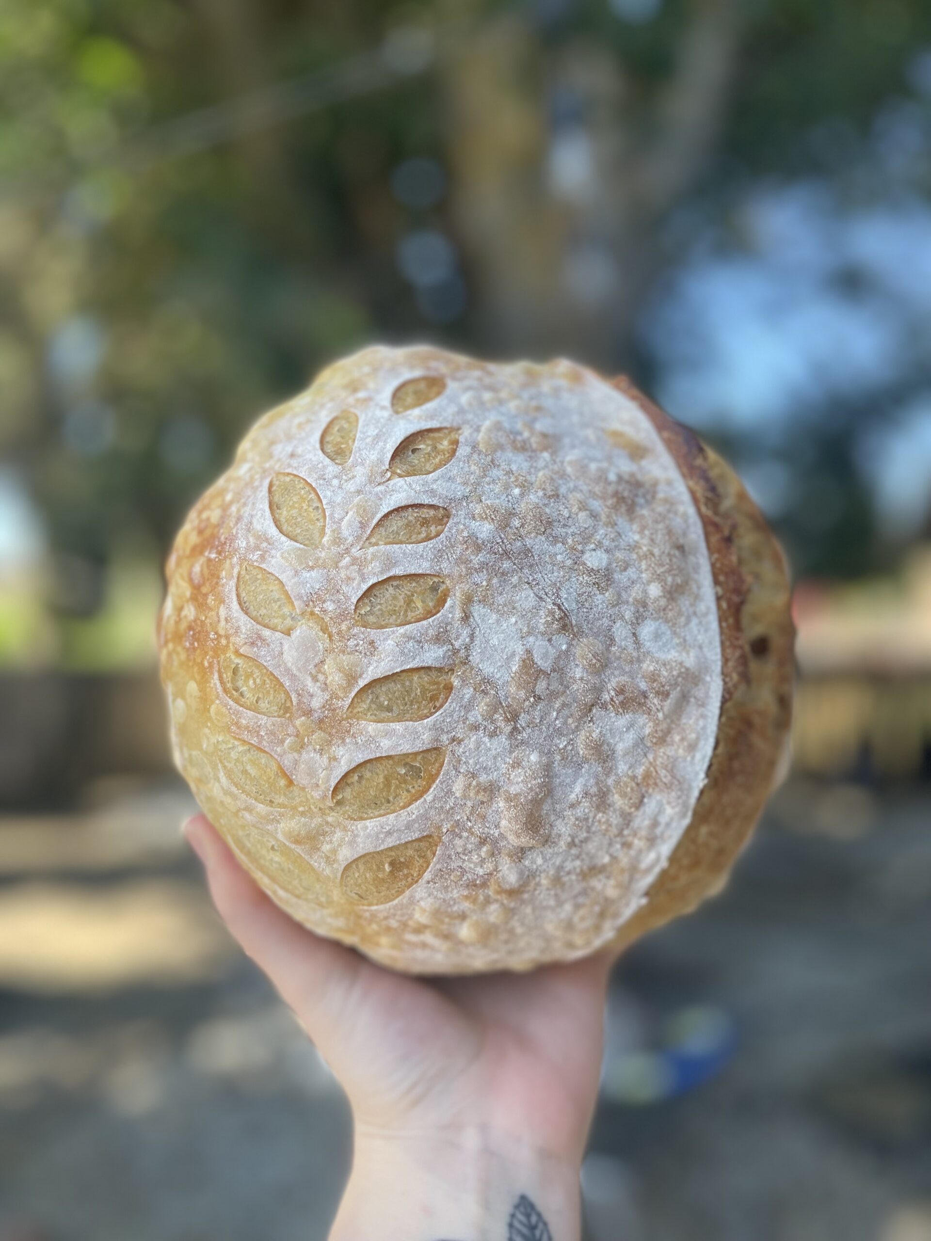 The Easiest Beginner Sourdough Bread Recipe (Step-by-Step Guide)