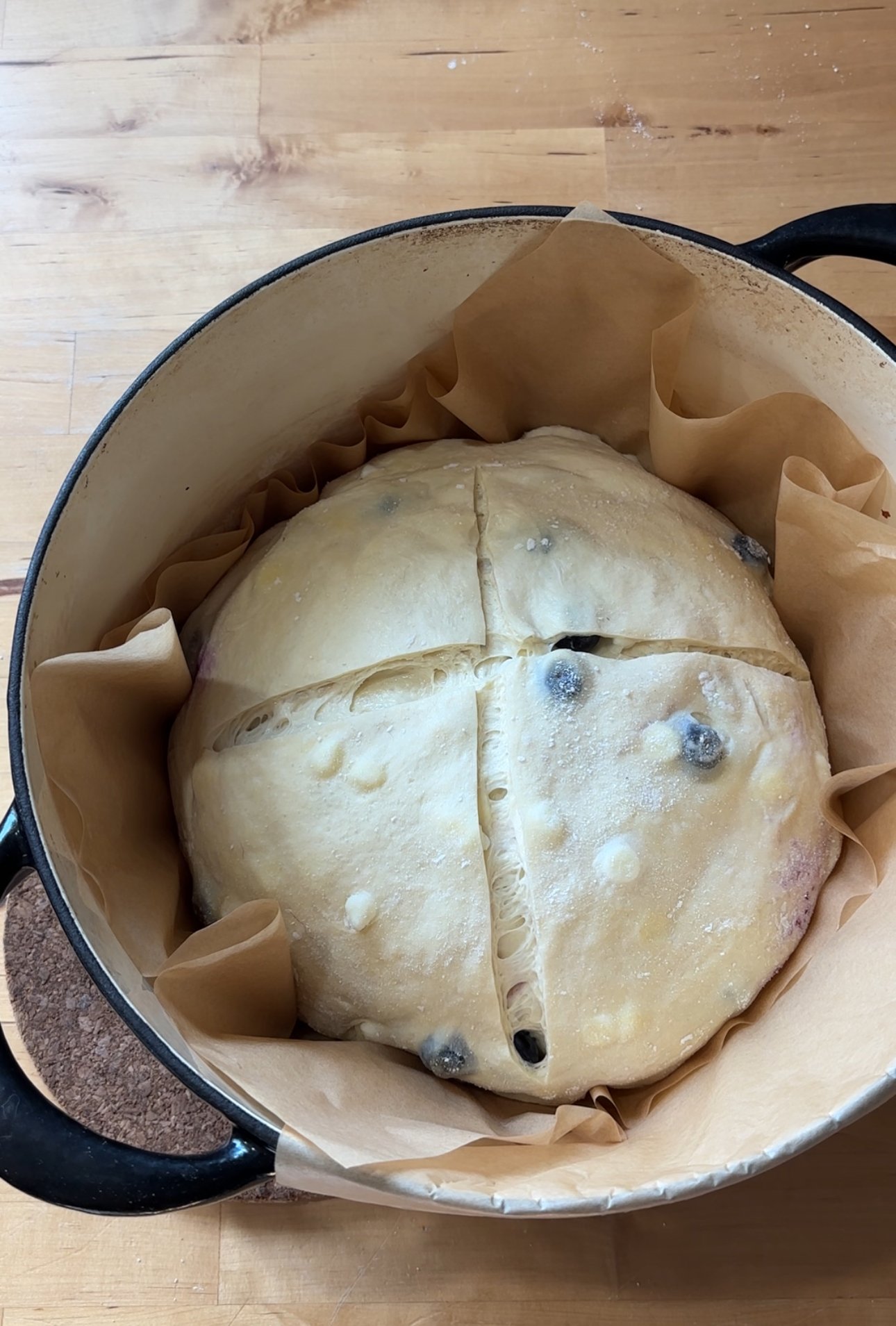 Lemon Blueberry Sourdough Loaf dough scored in an open dutch oven 