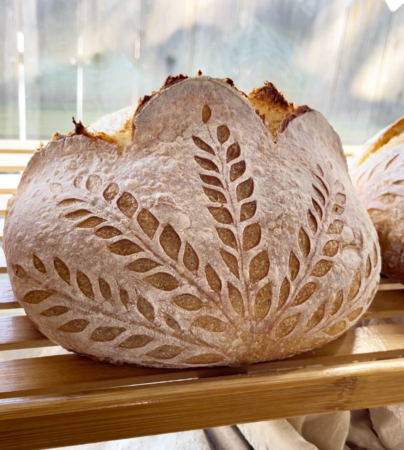 The Fluffiest Sourdough Bread with a Hint of Whole Wheat!