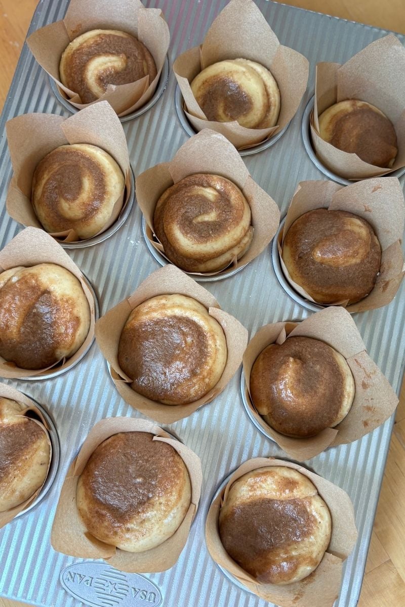 sourdough protein cinnamon rolls proofing in a muffin tin