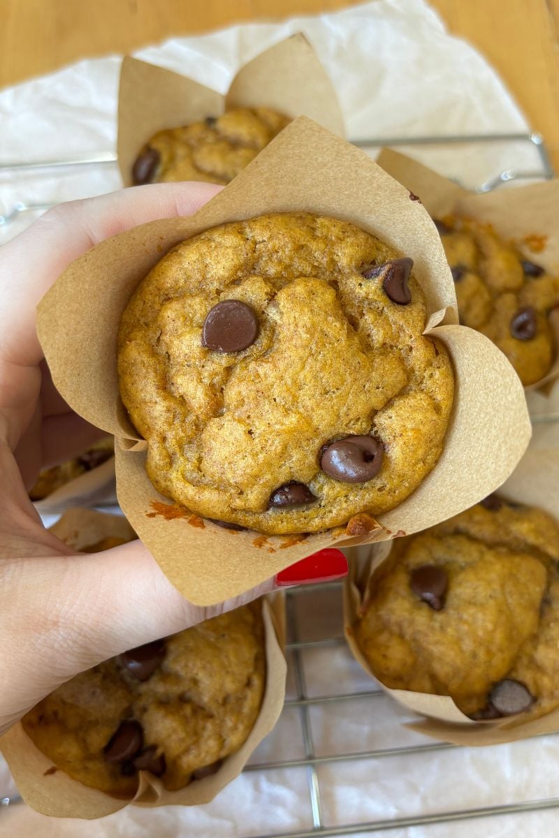 a hand holding a Sourdough Protein Pumpkin Spice Muffin