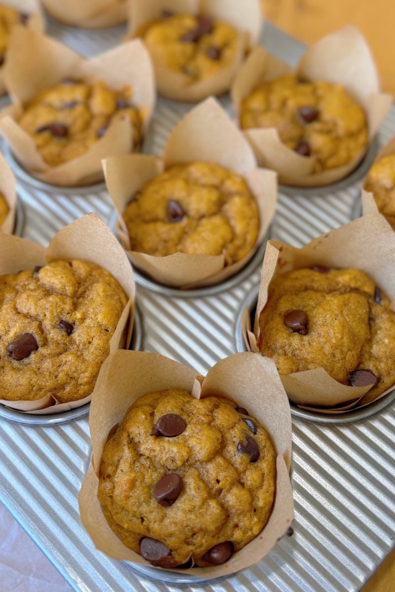 Sourdough Protein Pumpkin Spice Muffins | Fall Recipe