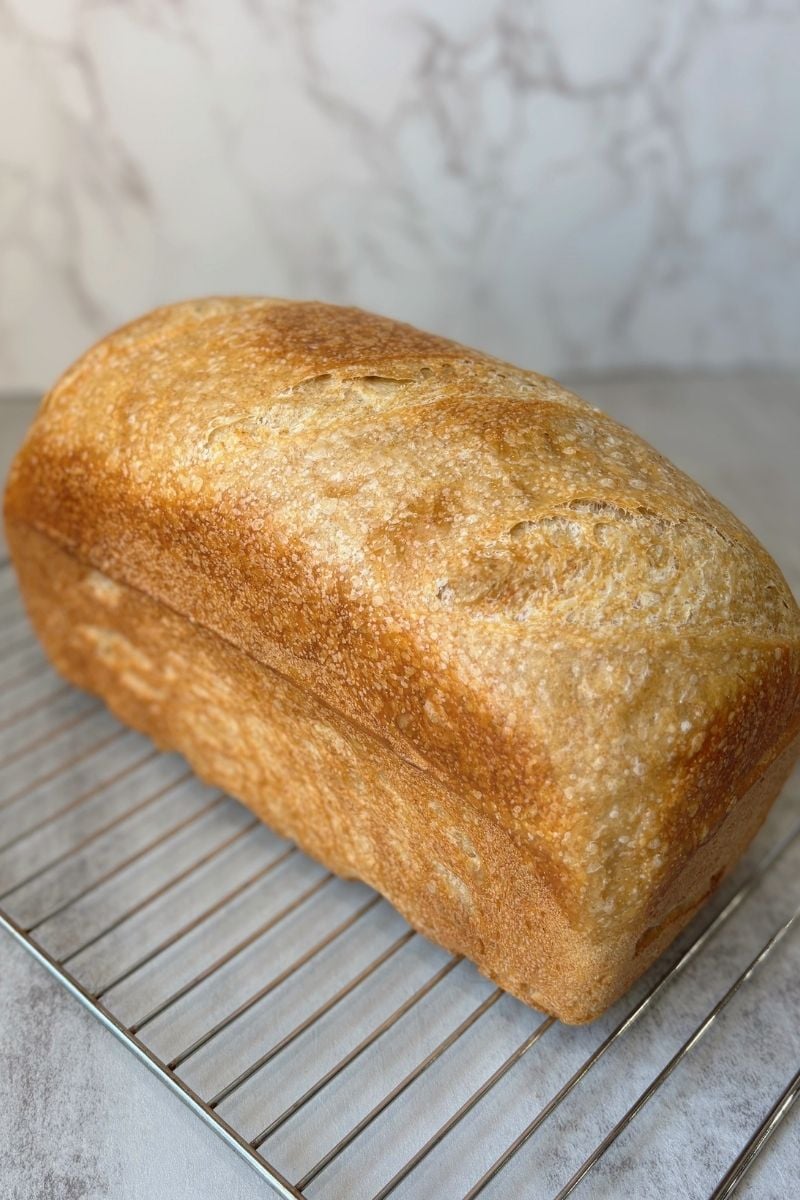 honey wheat sourdough sandwich bread on a cooling rack