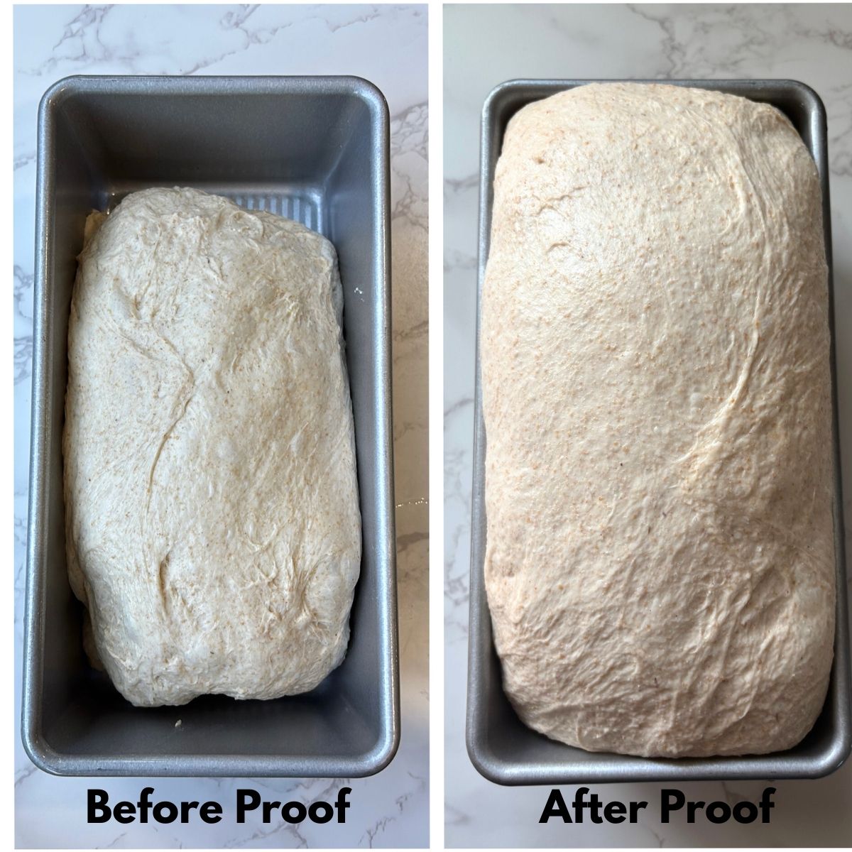 before and after proofing honey wheat sourdough dough