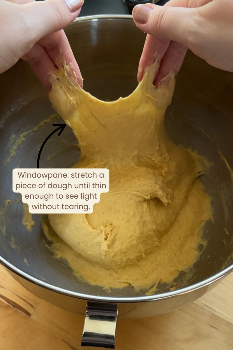 Example of windowpane in sourdough pumpkin brioche twist