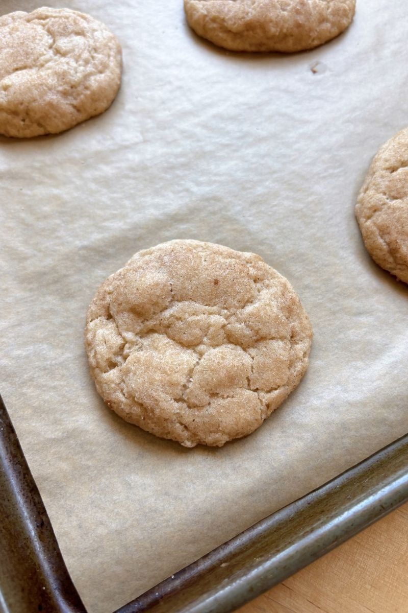 Soft and chewy sourdough discard snickerdoodles fresh from the oven.