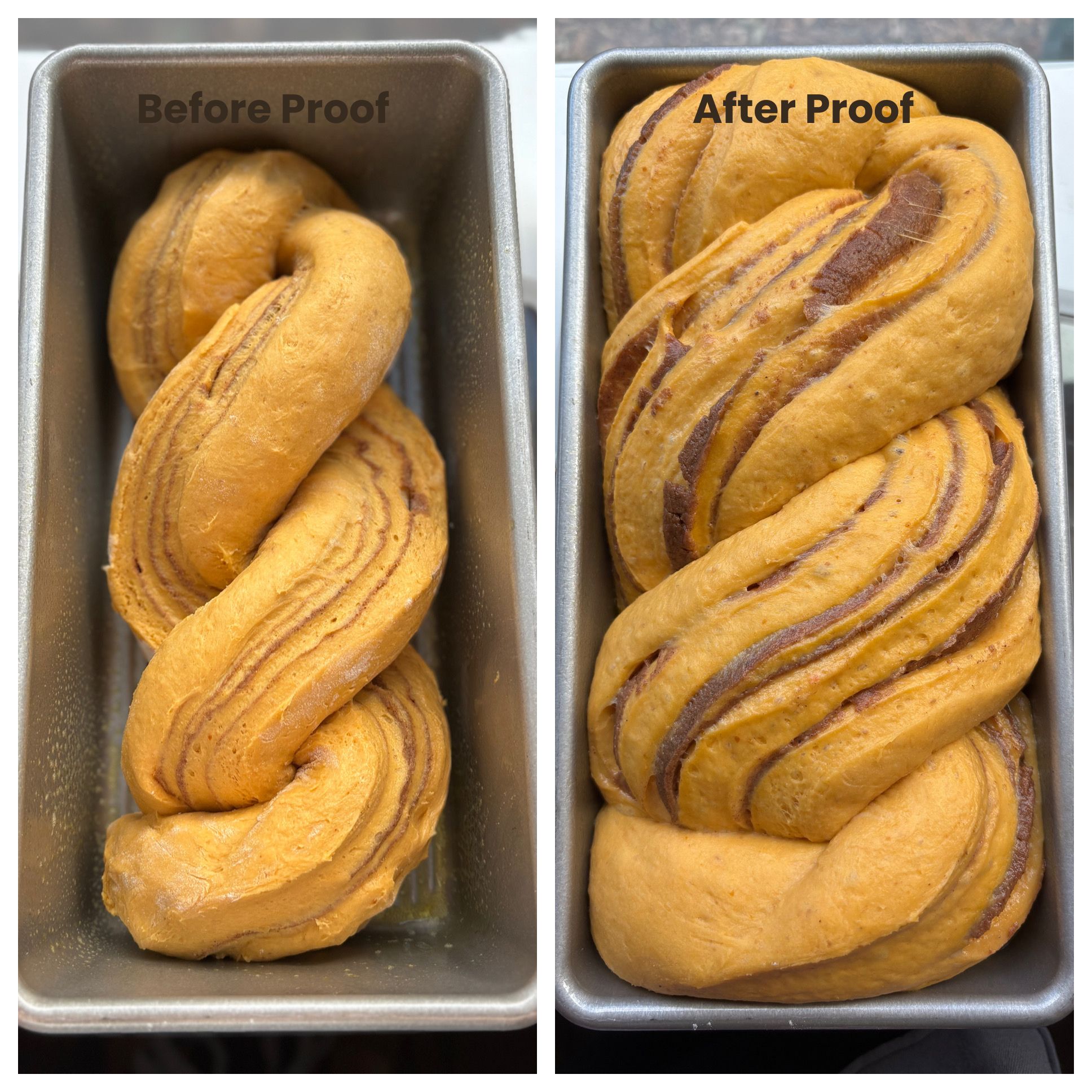 Sourdough pumpkin brioche twist loaf before and after proof