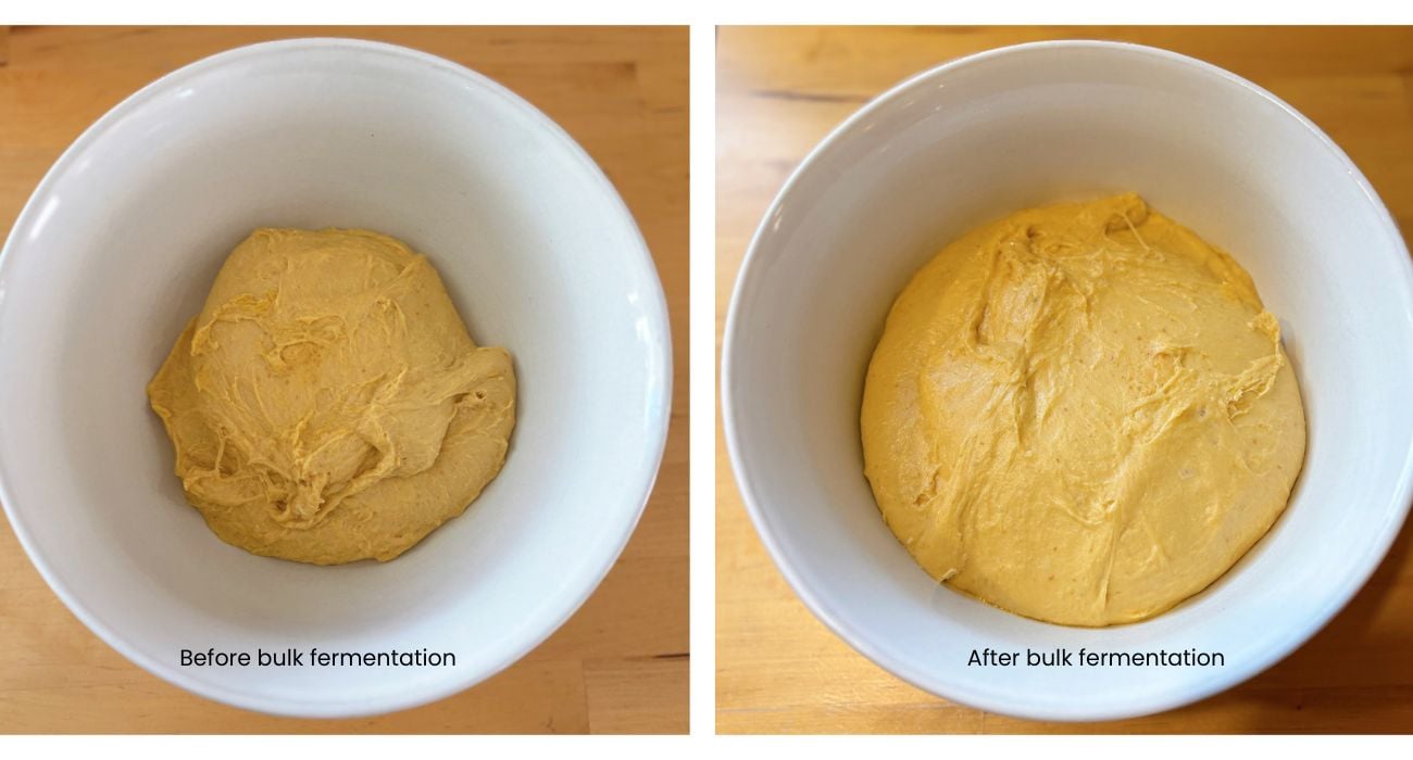 before and after bulk fermentation on sourdough pumpkin brioche twist loaf