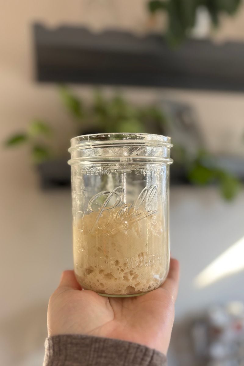 Stiff sweet sourdough starter in a ball mason jar