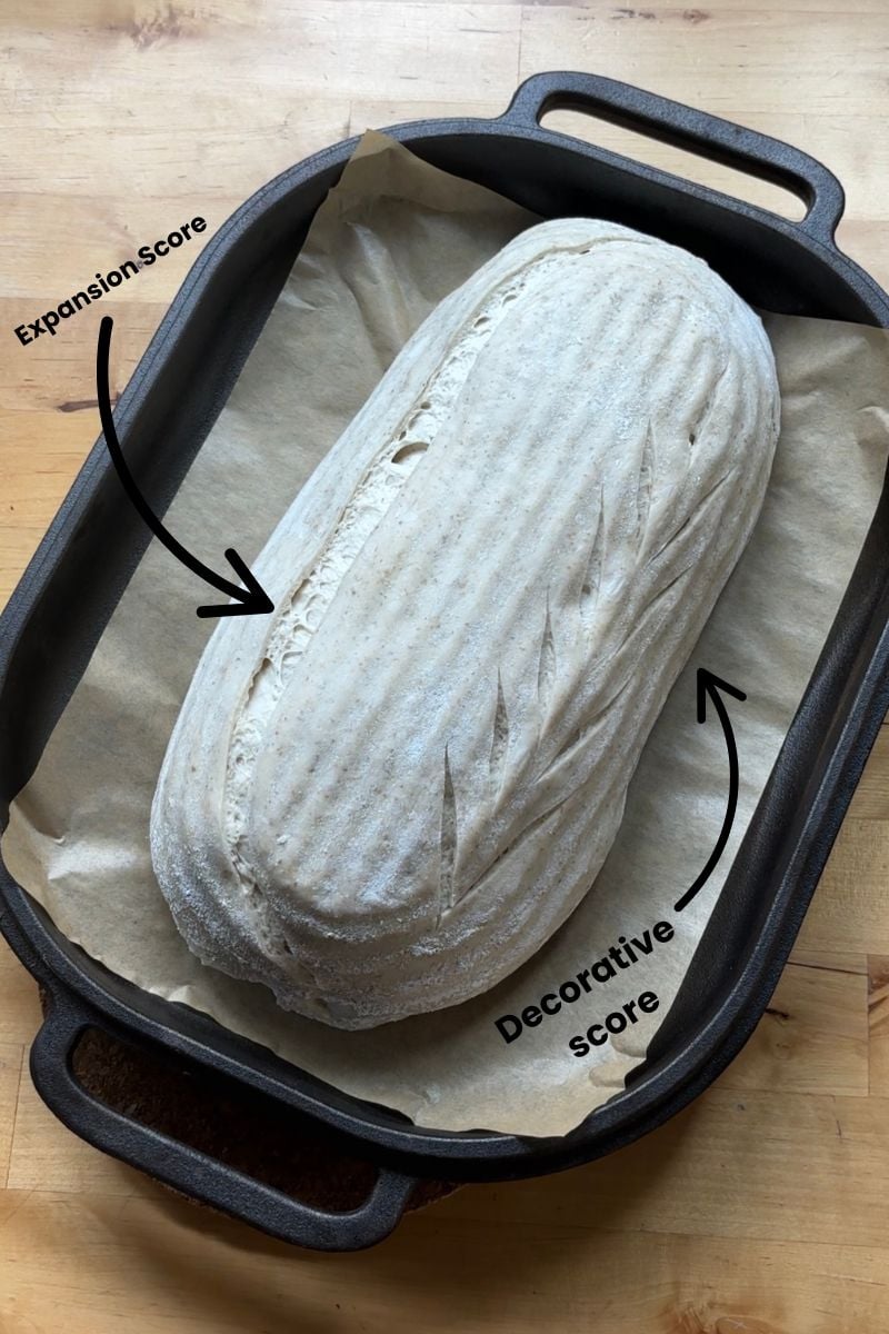 best tasting sourdough bread dough scored in a challenger dutch oven 