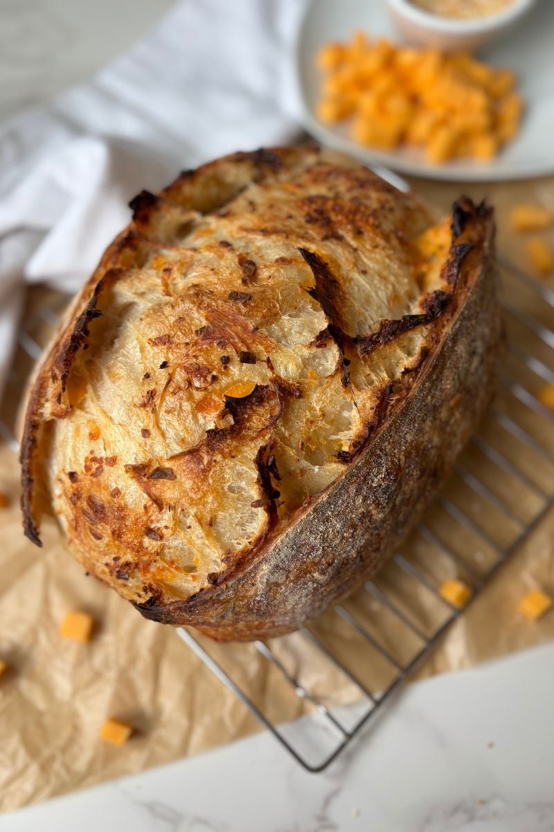 baked Cheddar and Onion Sourdough Bread loaf