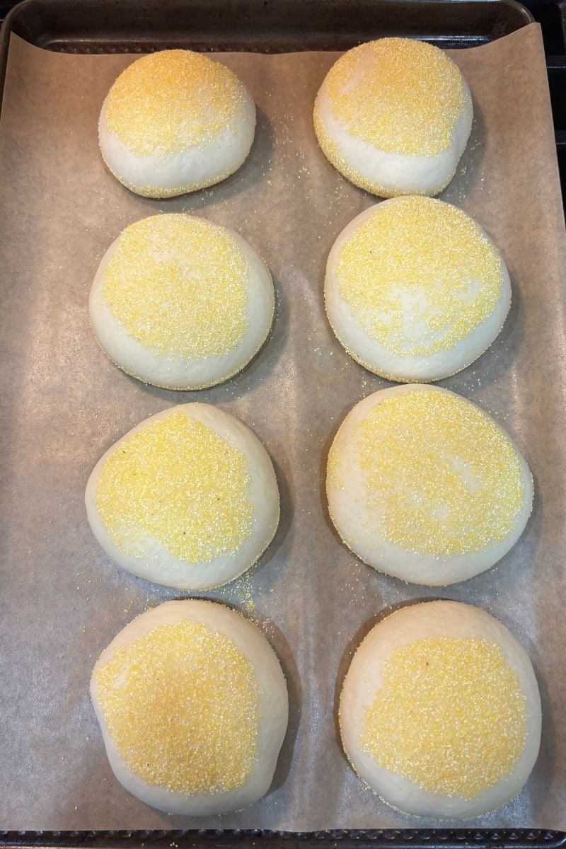proofing Protein Sourdough English Muffins on a parchment paper lined baking sheet