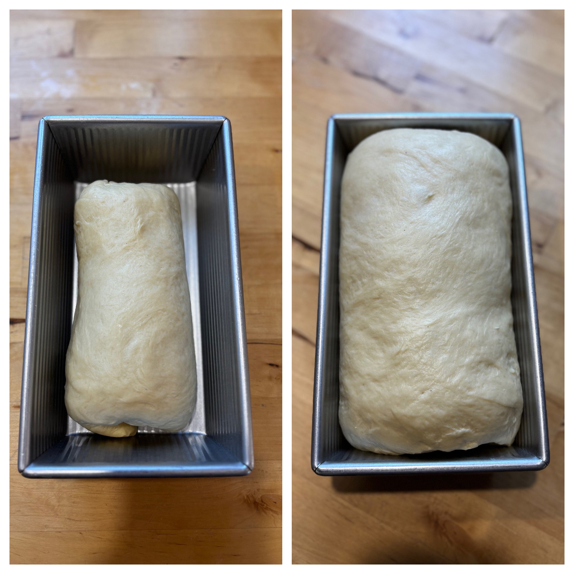 sourdough discard sandwich bread before and after second rise