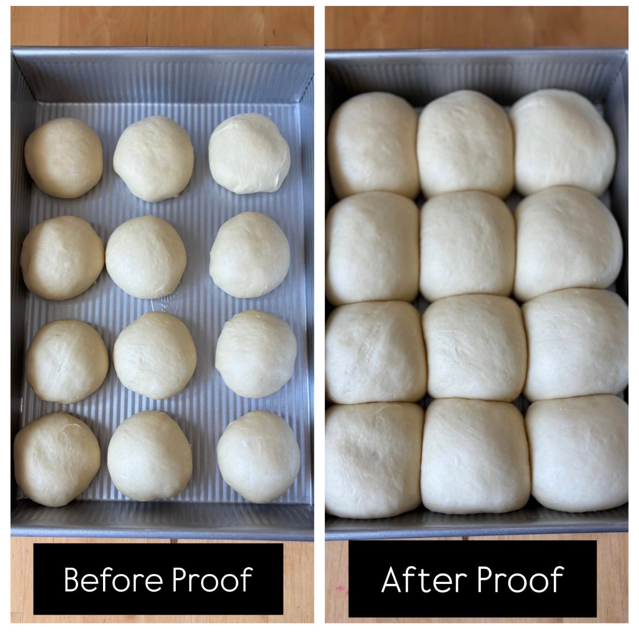 Before and After proof pan of rolls 