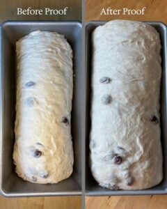 side by side comparison of dough before and after second rise/proof